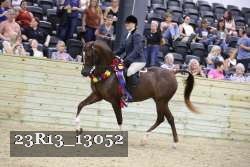 23R13_13052 thumbnail