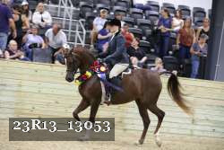 23R13_13053 thumbnail