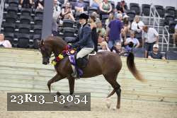 23R13_13054 thumbnail