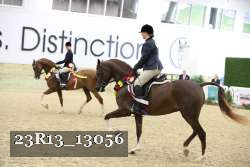 23R13_13056 thumbnail