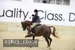 23R13_13059 thumbnail