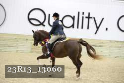 23R13_13060 thumbnail
