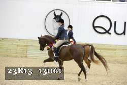 23R13_13061 thumbnail