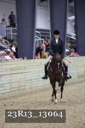 23R13_13064 thumbnail