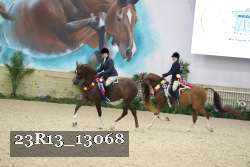 23R13_13068 thumbnail
