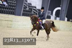 23R13_13071 thumbnail