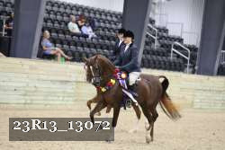 23R13_13072 thumbnail