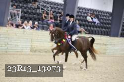 23R13_13073 thumbnail