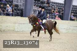 23R13_13074 thumbnail