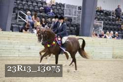 23R13_13075 thumbnail