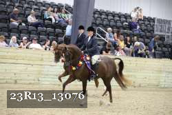 23R13_13076 thumbnail