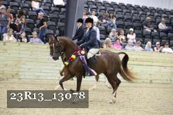 23R13_13078 thumbnail