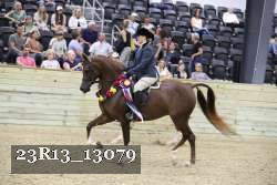 23R13_13079 thumbnail