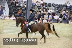 23R13_13080 thumbnail