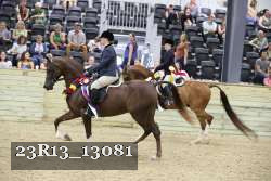 23R13_13081 thumbnail
