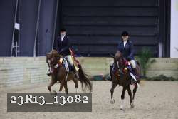 23R13_13082 thumbnail