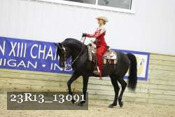 23R13_13091 thumbnail