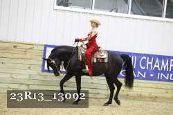 23R13_13092 thumbnail