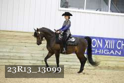 23R13_13099 thumbnail