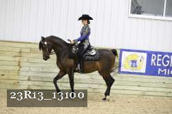 23R13_13100 thumbnail