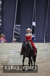 23R13_13103 thumbnail