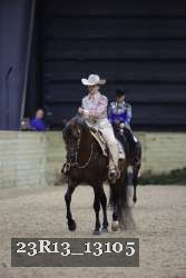 23R13_13105 thumbnail