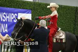 23R13_13108 thumbnail