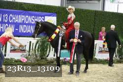 23R13_13109 thumbnail