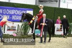 23R13_13110 thumbnail