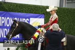 23R13_13111 thumbnail