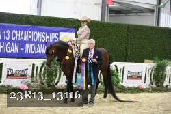 23R13_13116 thumbnail