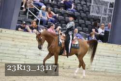 23R13_13117 thumbnail