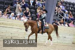 23R13_13118 thumbnail