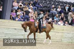 23R13_13119 thumbnail