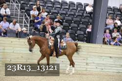23R13_13121 thumbnail