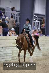 23R13_13122 thumbnail