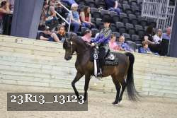 23R13_13123 thumbnail