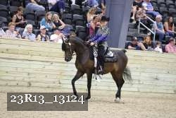 23R13_13124 thumbnail
