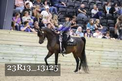 23R13_13125 thumbnail