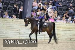 23R13_13126 thumbnail