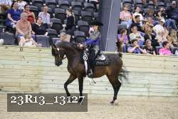 23R13_13127 thumbnail