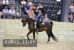 23R13_13128 thumbnail