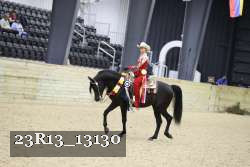 23R13_13130 thumbnail