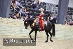 23R13_13132 thumbnail