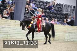 23R13_13133 thumbnail