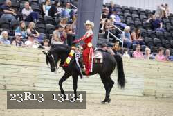 23R13_13134 thumbnail