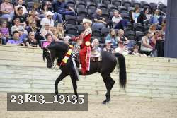 23R13_13135 thumbnail