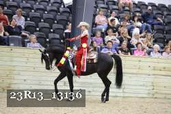 23R13_13136 thumbnail