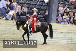 23R13_13137 thumbnail