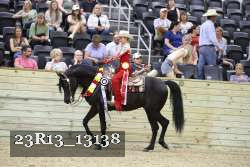 23R13_13138 thumbnail